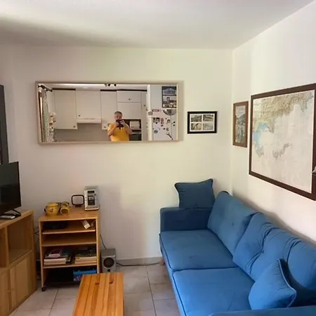 Maison Mitoyenne Avec Climatisation Et Parking A Bormes-les-mimosas - Fr-1-251-877 Vakantiehuis La Favière